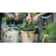 Ножницы кухонные Fiskars Classic 18 см (1000819)