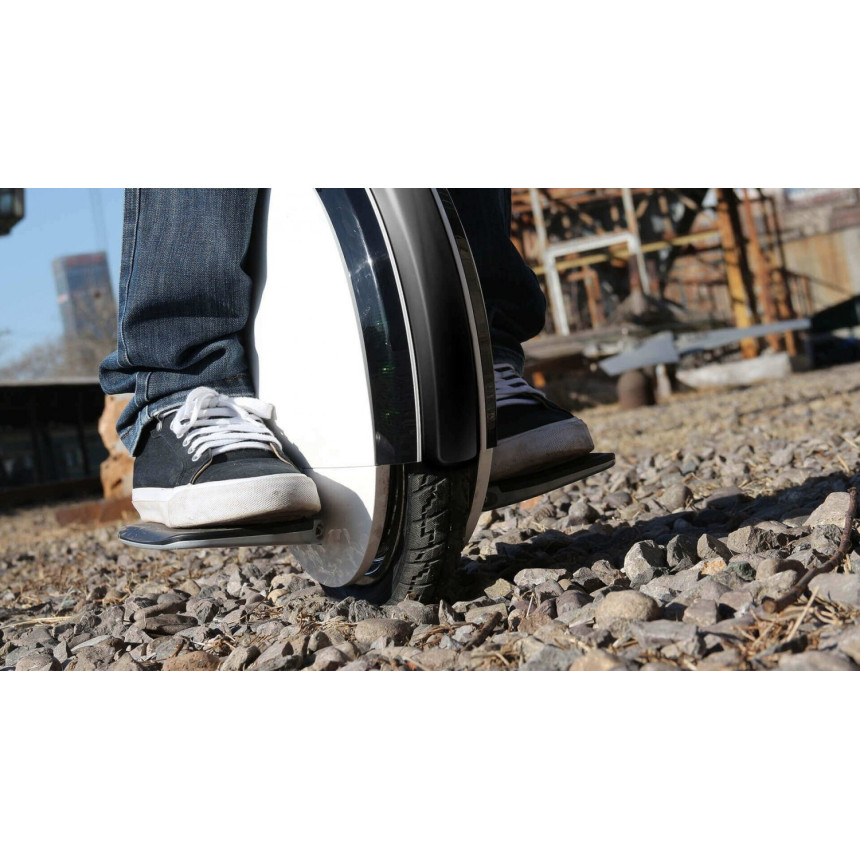 Моноколесо Ninebot by Segway One S2