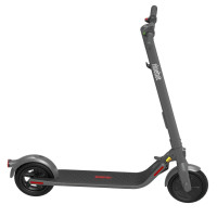 Электросамокат Ninebot by Segway E22E