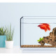 Аквариум Xiaomi Yuanhao Ultra white glass 384x225x242mm (Ф24293)