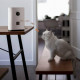 Машина для кормления животных Xiaomi Pawbby MG-PSM001